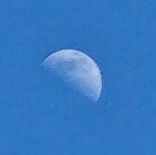 Moon during the day